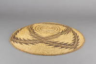 Achumawi%20artist%2C%20%3Cb%3E%3Ci%3E%20Basketry%20tray%3C%2Fi%3E%3C%2Fb%3E%2C%20ca.%201900%2C%20tule%20root%2C%20bulrush%2C%20and%20maidenhair%20fern%2C%20Gift%20of%20Mrs.%20Ferdinand%20C.%20Smith%20and%20Mr.%20L.%20Hawley%20Hoffman%2C%20no%20known%20copyright%20restrictions%2C%2043.1.51